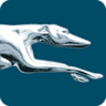 Greyhound logo