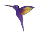 I Live Koeln logo
