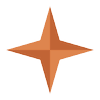 Purityvodka logo