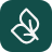Sapling Digital logo