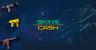 Skins.Cash logo