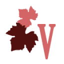 Viinikauppa.com logo