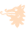 Wolf Wine logo