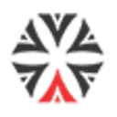 Airborne International Courier Services logo