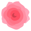Blossom Flower Delivery logo