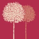 debbie fortune estate agents logo