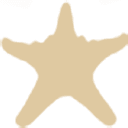 Five Star Properties and Bliss Beach Rentals logo