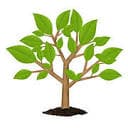 M&W Garden & Fencing Services birmingham logo