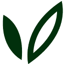 KT Insurance logo