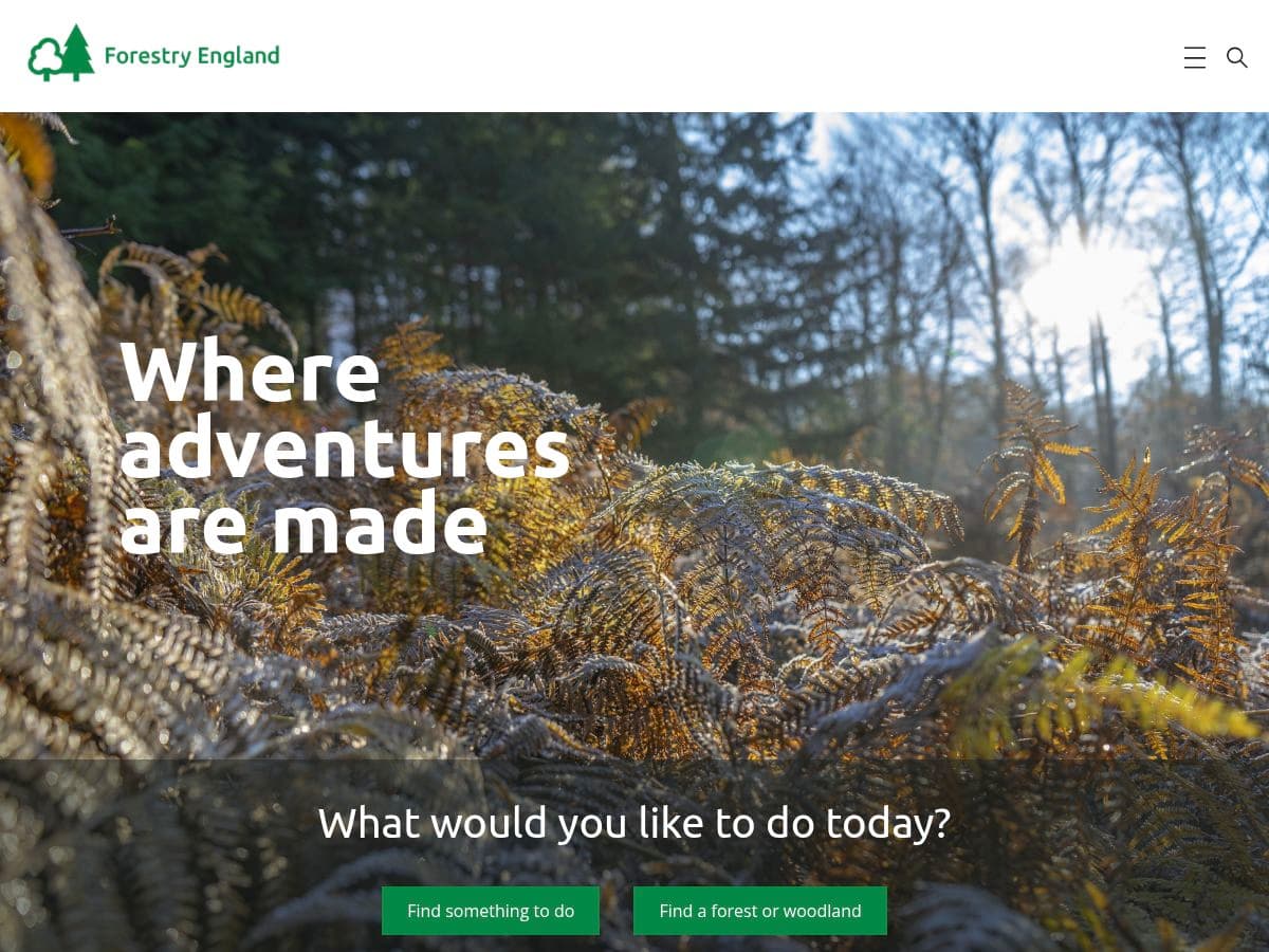 Forest Live logo