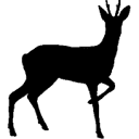 Roebuck Courier Services logo