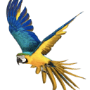Sky Birds Pet Store logo