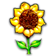 Southernexposure logo