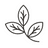 Teaspoon Tea Company logo