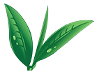 Teaworld logo